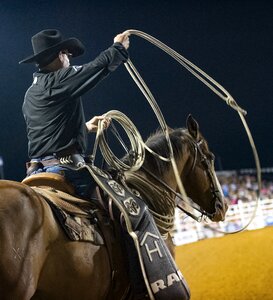 Western animal riding