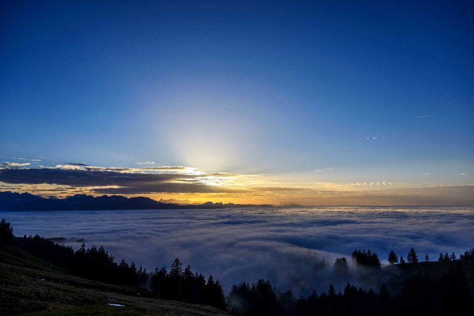Nature view landscape