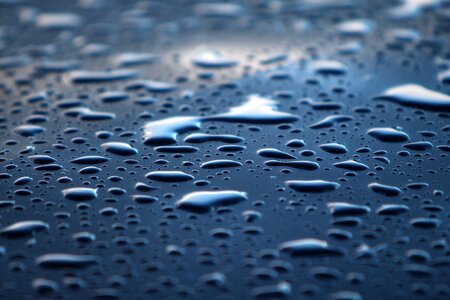 Water rain drip photo