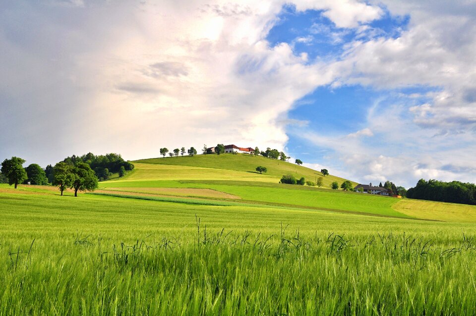 Fields spring farmhouse