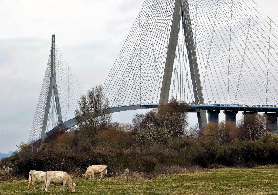 Bridge architecture heritage