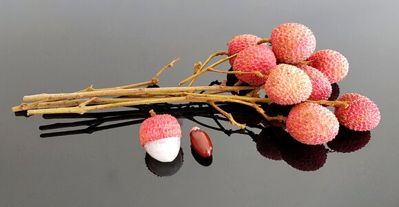 Soapberry family healthy white
