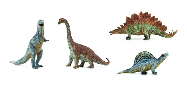Jurassic colorful plastic photo