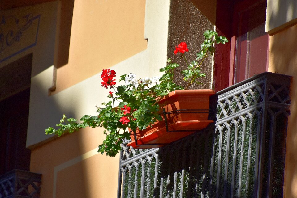 Pamplona urban balcony