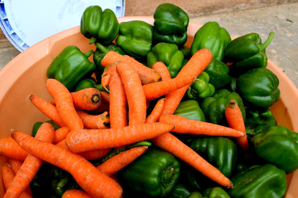 Food agriculture greenhouse