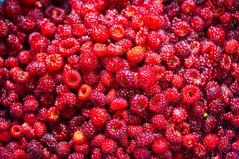 Nature repair molecular health