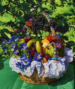 Basket flowers harvest