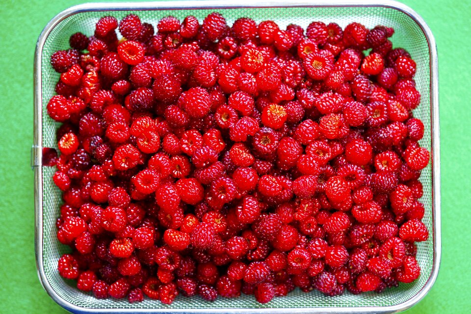 Strawberry nature health