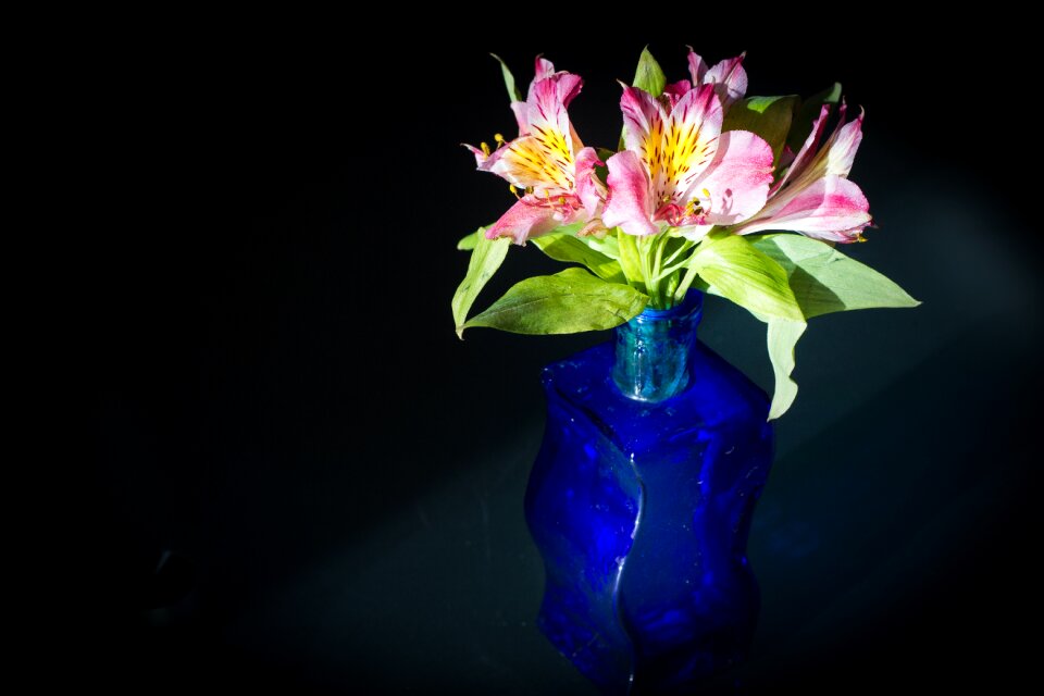 Bouquet pink living room photo