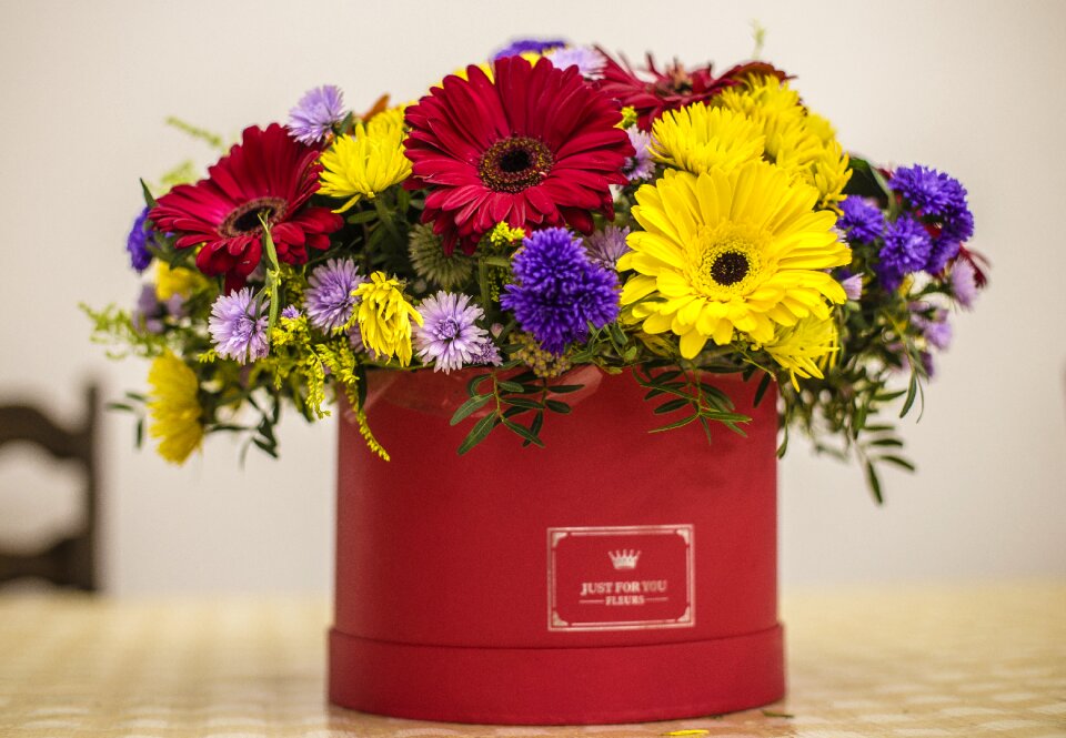 Flower colorful love
