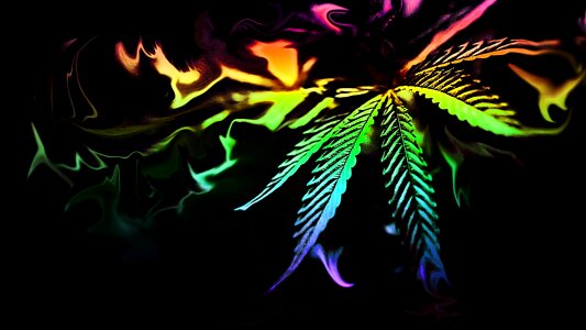 Color art weed photo