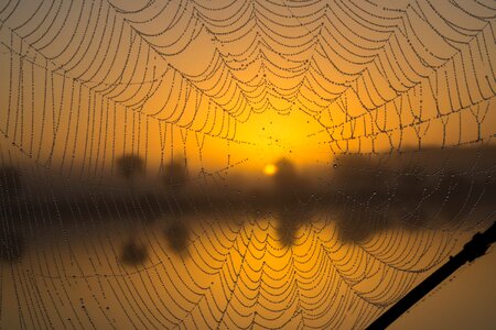 Macro network drops