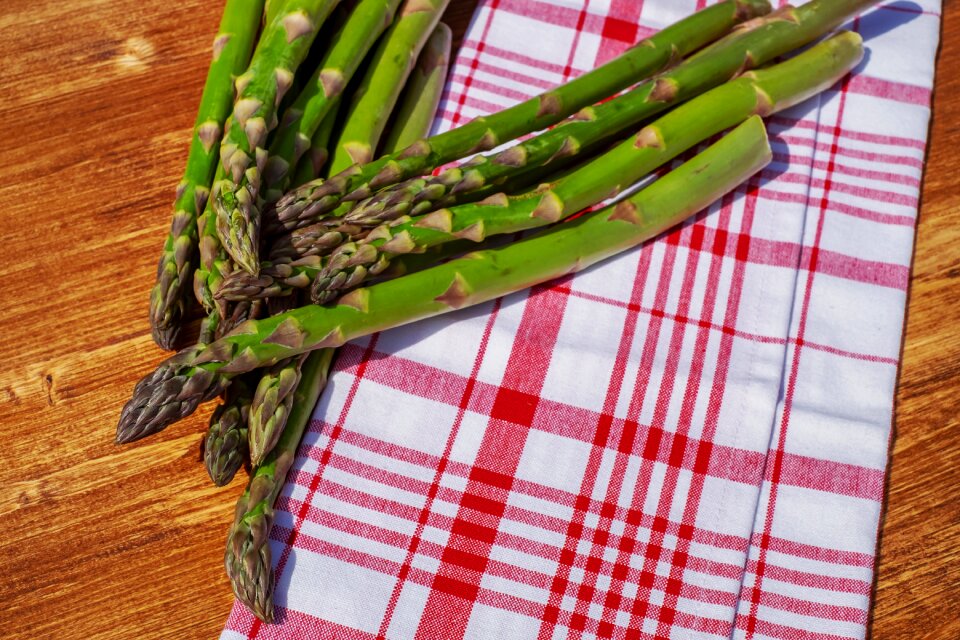 Asparagus time plant green