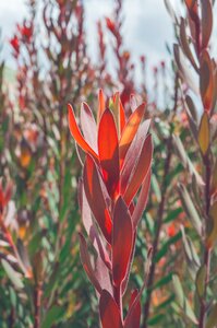 Autumn bright color