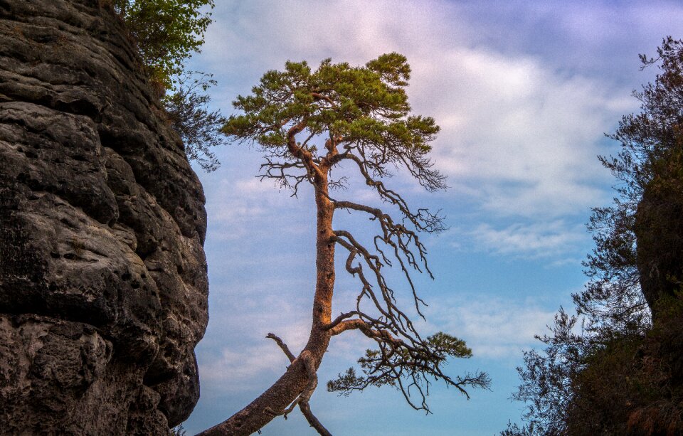 Germany landscape nature