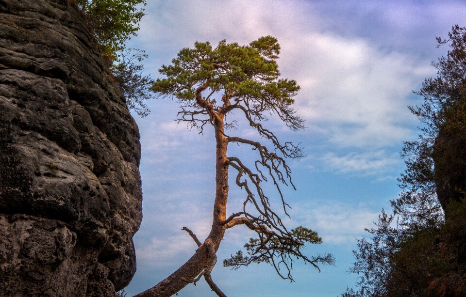 Germany landscape nature photo