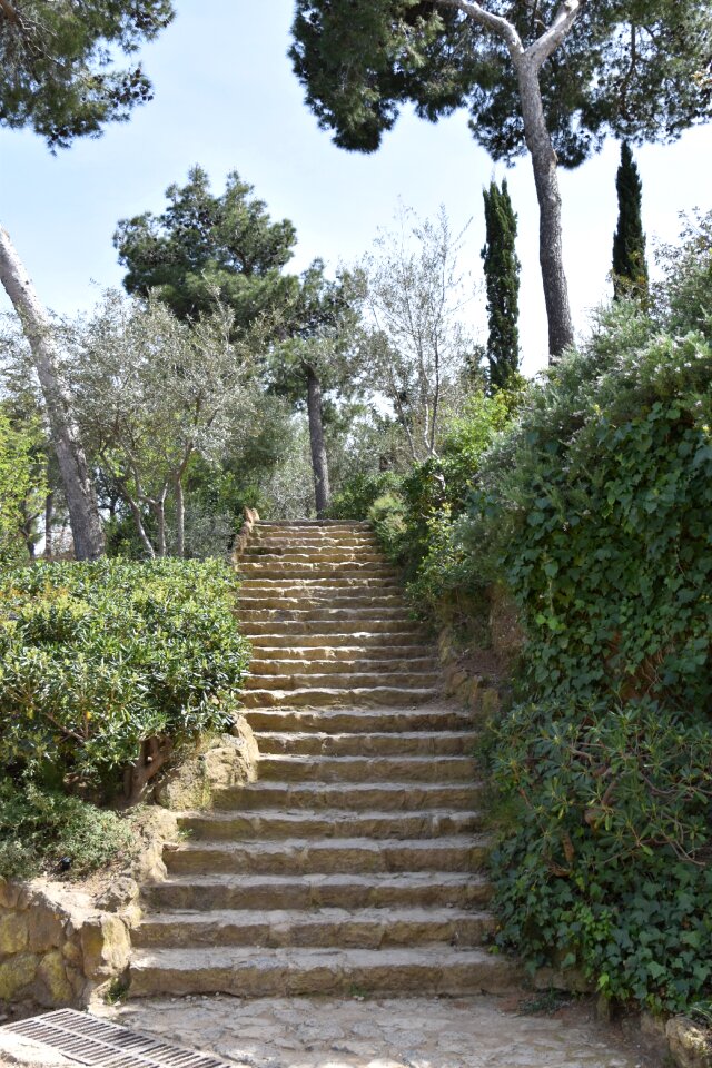 Staircase markets park