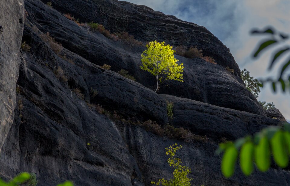 Germany landscape nature