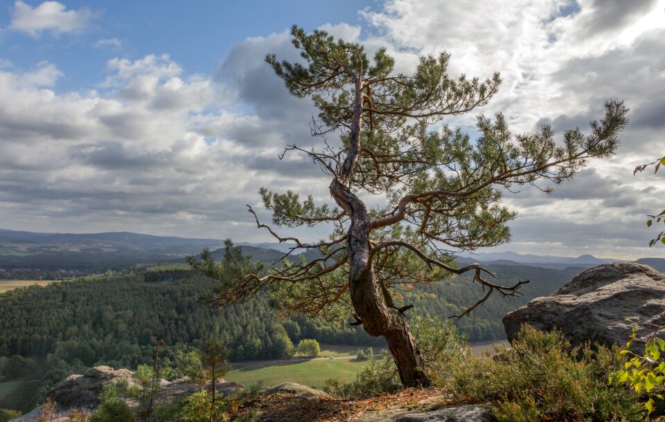 Germany landscape nature