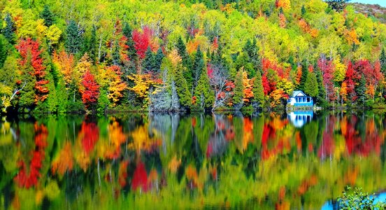 Nature landscape colorful
