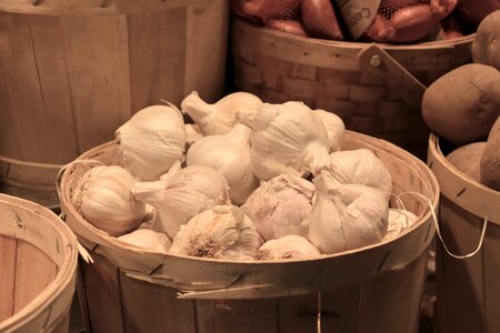 Market garlic kitchen photo
