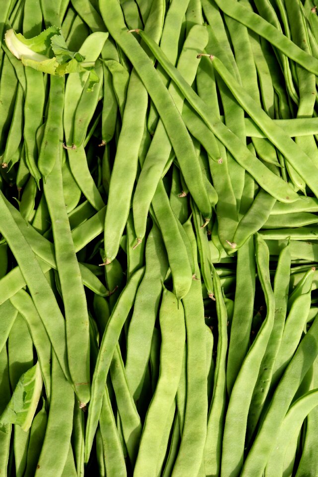 Garden vegetables market