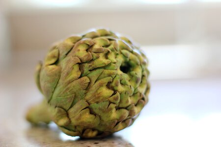 Healthy artichoke vegetarian