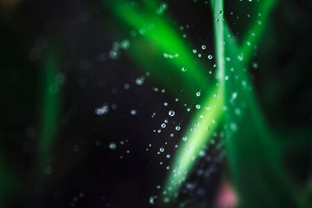 Nature drip bead