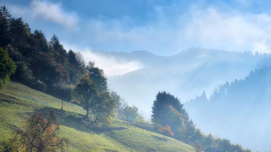 Nature forest clouds photo