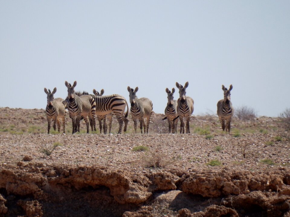 Mountains africa namibia