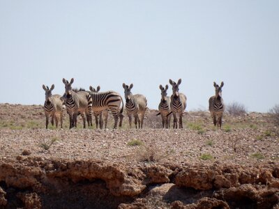 Mountains africa namibia