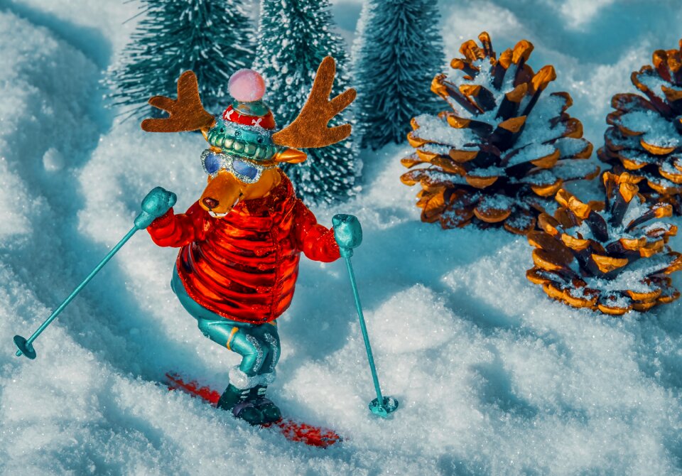 Reindeer skiing ski