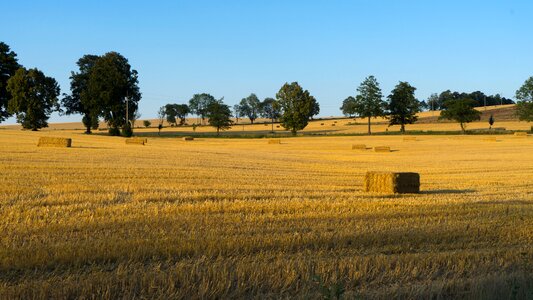 Harvest hay landscape