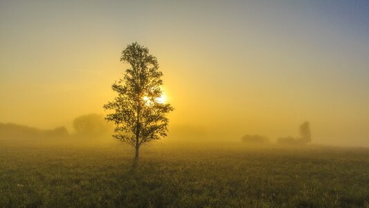 Cool sunrise alone