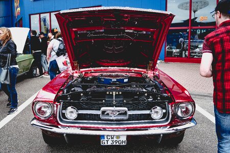 Exhibition mustang classic