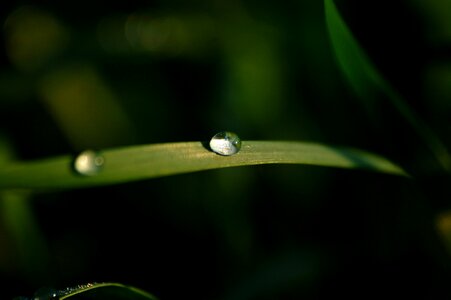 Just add water water droplets nature