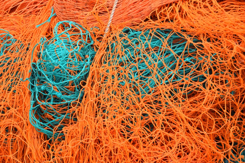 Water sea orange water
