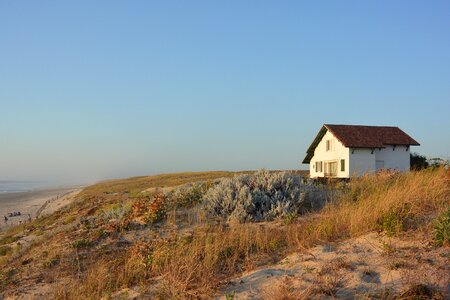 Alone dune sand photo