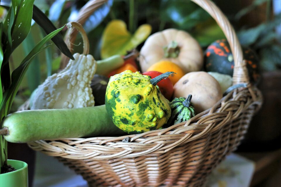 Autumn decoration vegetables colorful
