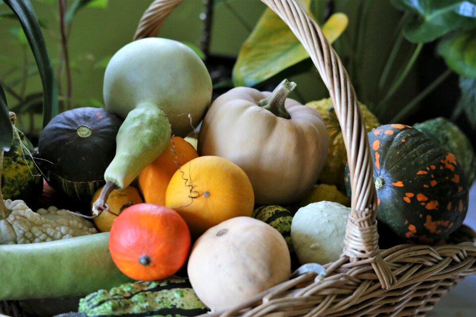 Decorative colorful vegetables