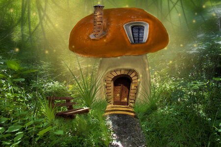 Fungus fantasia nature