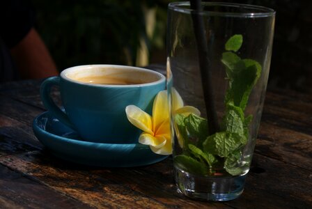 Natural table coffee cup photo