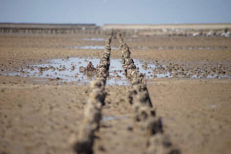 Sand nature landscape photo