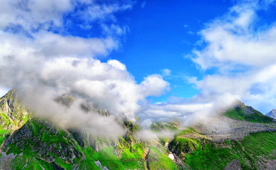Landscape grass green