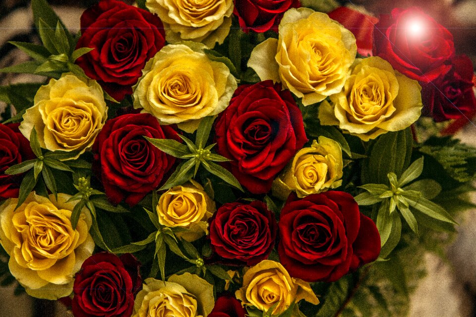 Nature love romance