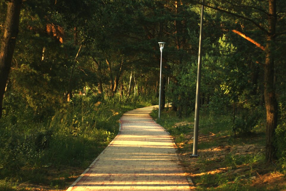 Park the path nature