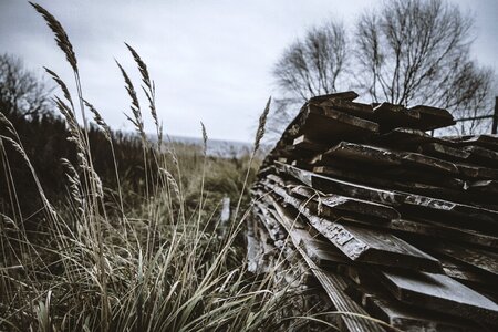 Nature vintage design