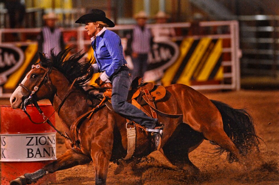 Rodeo barrel racing horse