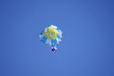 Spring dragons blue