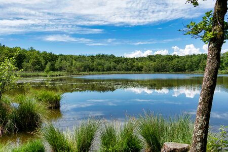 Landscape lakes water